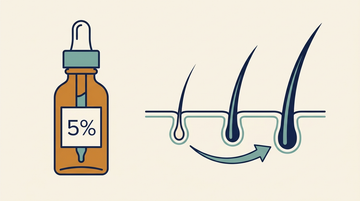 Diagram van een 5% minoxidil druppelflesje naast een dwarsdoorsnede van de hoofdhuid dat een slapend, een groeiend en een volgroeid haarzakje toont