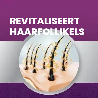Kirkland Minoxidil Schuim 5% voor Vrouwen – 12 maanden voorraad