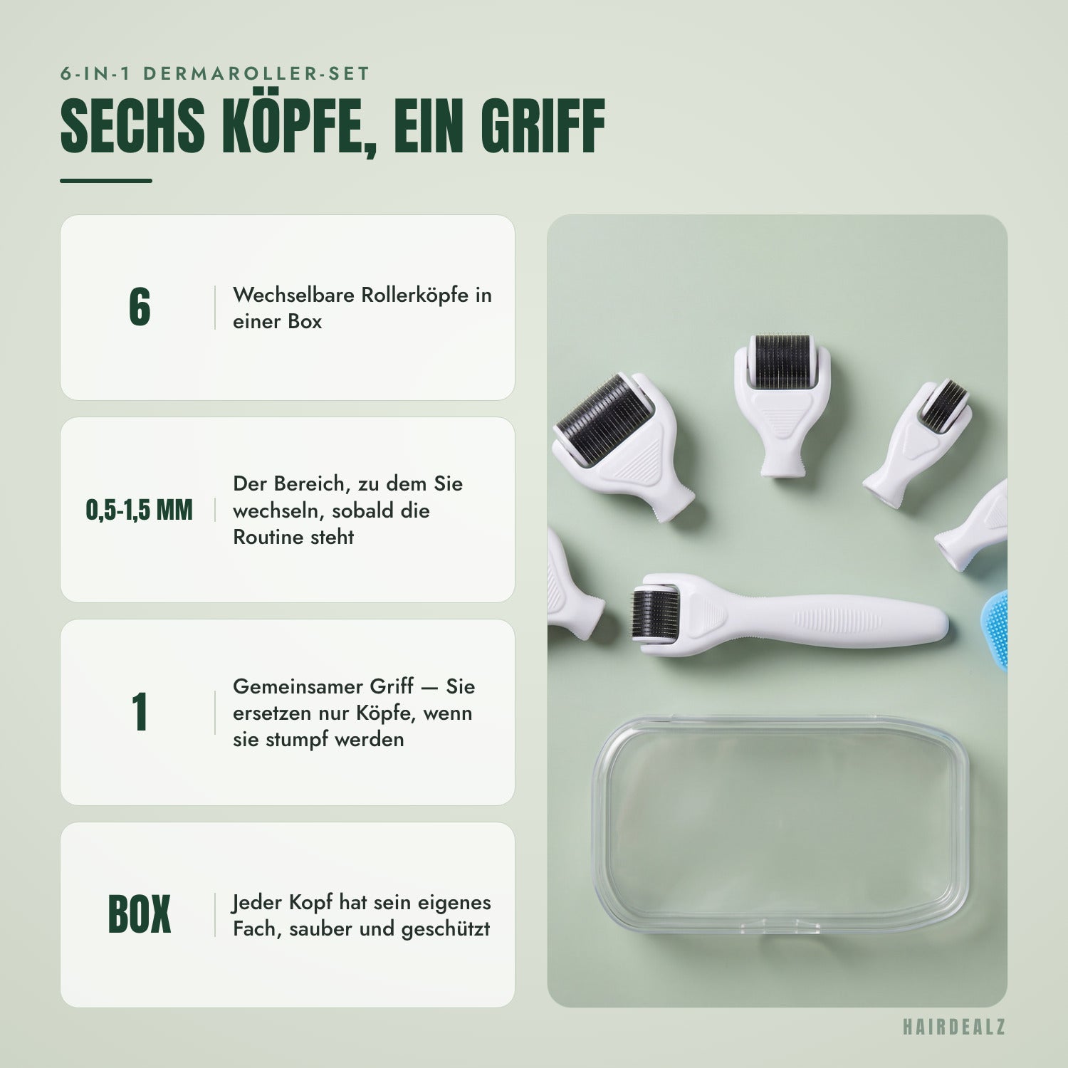 6-in-1 Dermaroller-Set — Sechs Köpfe, ein Griff