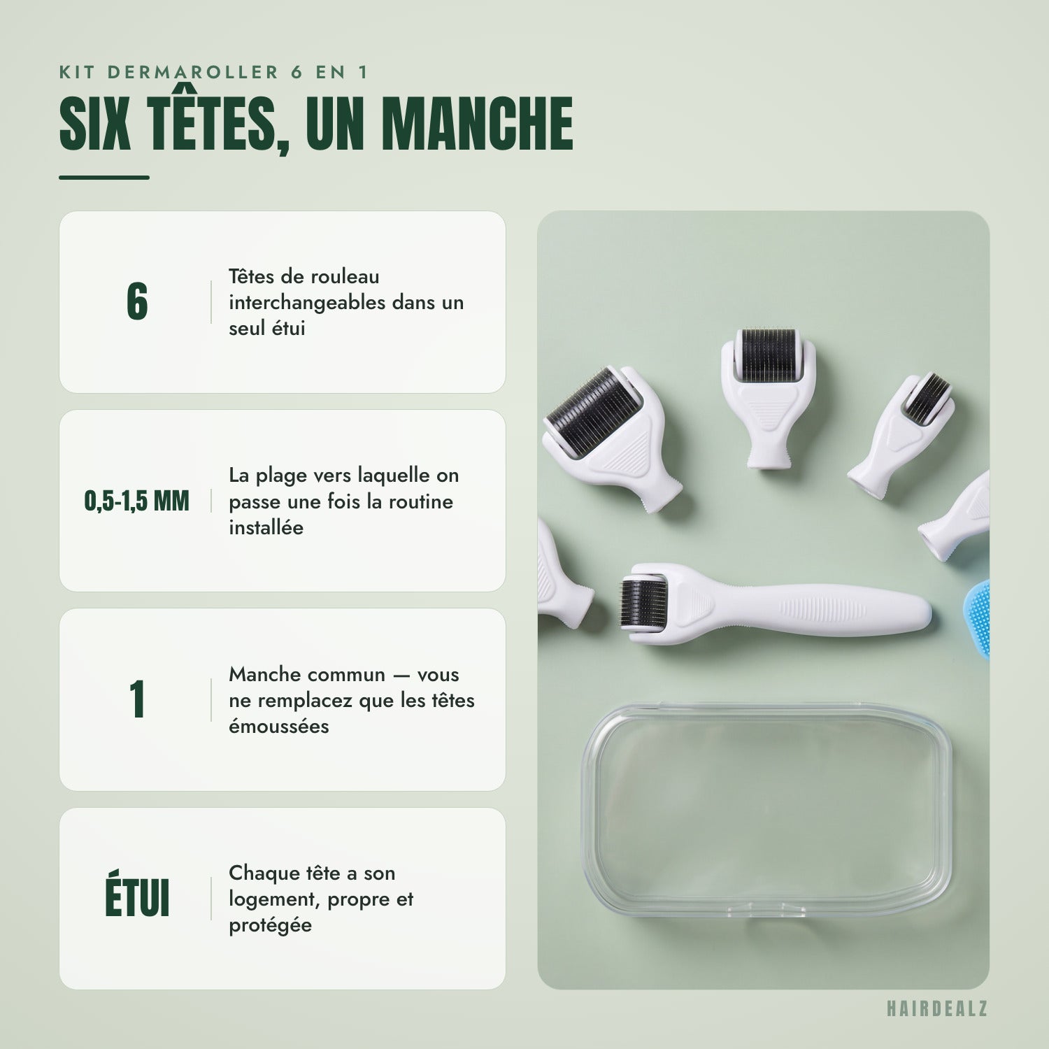 Kit dermaroller 6 en 1 — Six têtes, un manche