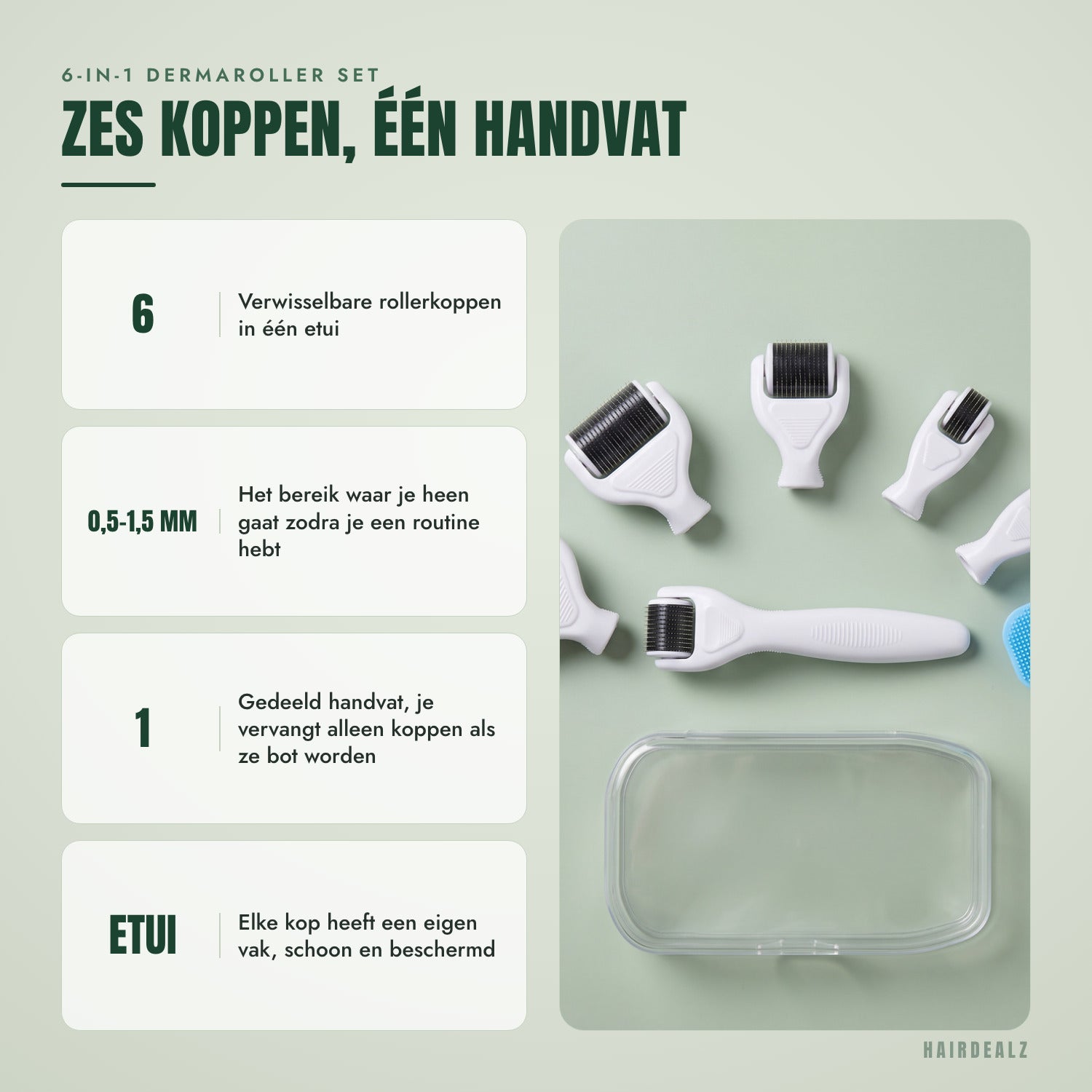 6-in-1 dermaroller set — Zes koppen, één handvat