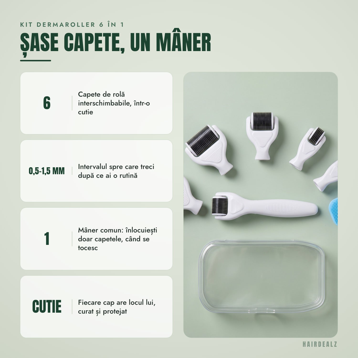 Kit dermaroller 6 în 1 — Șase capete, un mâner