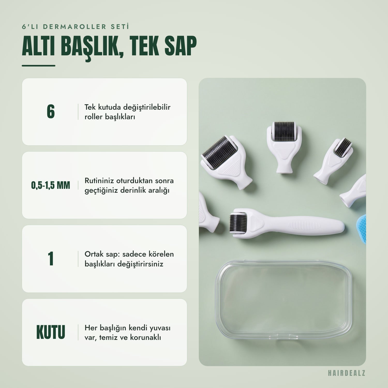 6'sı 1 arada dermaroller seti — Altı başlık, tek sap