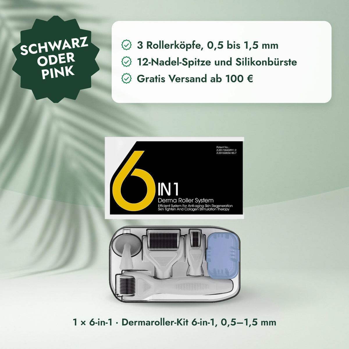 1 × 6-in-1 · Dermaroller-Kit 6-in-1, 0,5–1,5 mm: Schwarz oder Pink