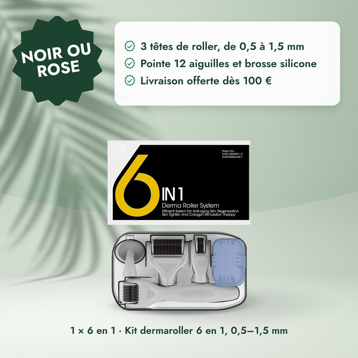 1 × 6 en 1 · Kit dermaroller 6 en 1, 0,5–1,5 mm: Noir ou rose