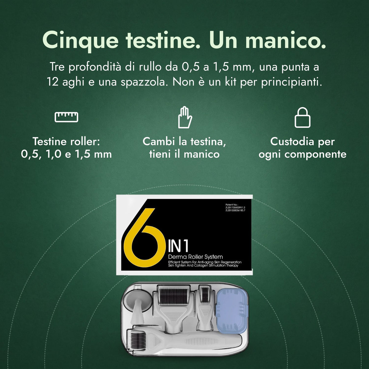 Kit dermaroller 6 in 1, 0,5–1,5 mm: Cinque testine. Un manico. Testine roller: 0,5, 1,0 e 1,5 mm, Cambi la testina, tieni il manico, Custodia per ogni componente