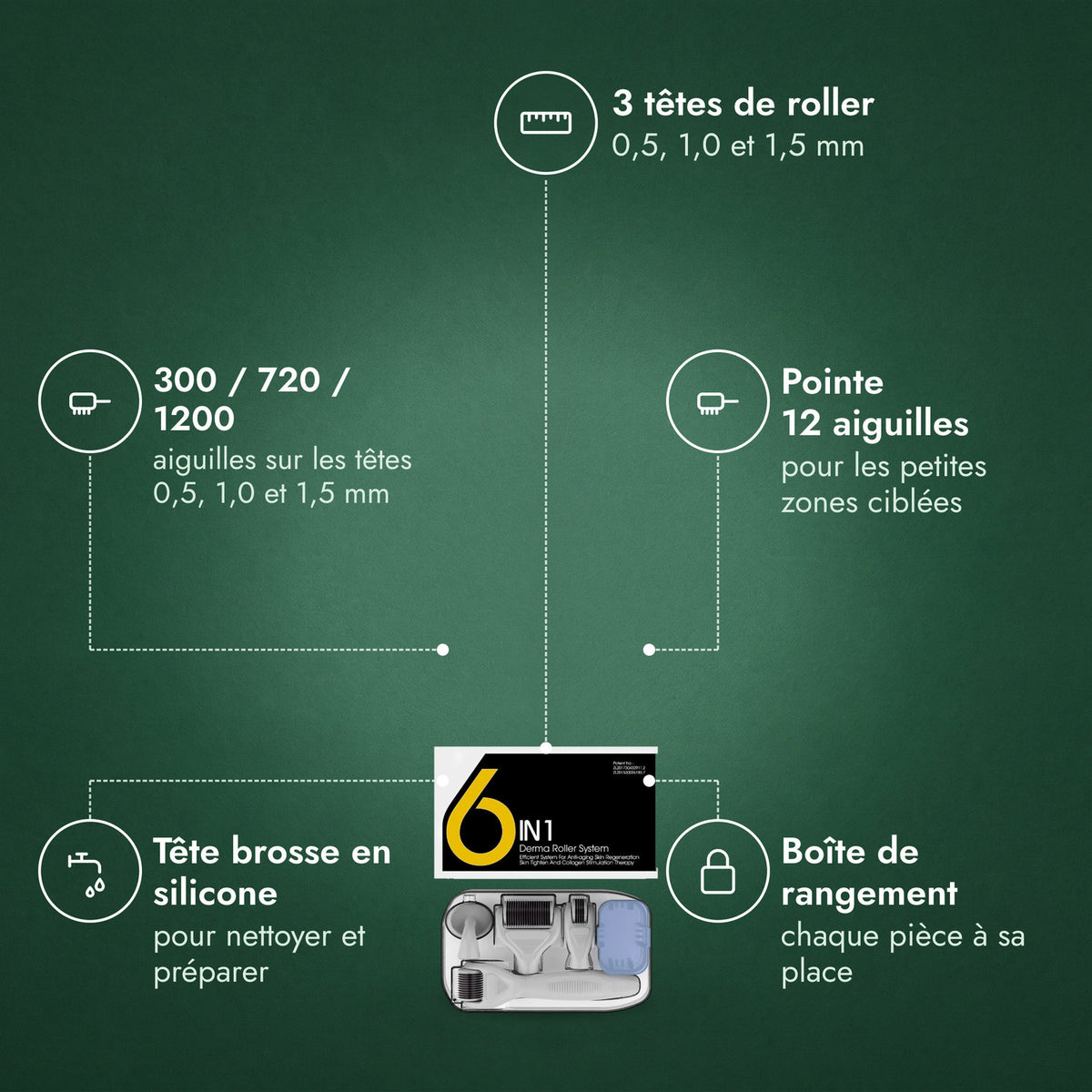 Kit dermaroller 6 en 1, 0,5–1,5 mm: 3 têtes de roller, 300 / 720 / 1200, Pointe 12 aiguilles, Tête brosse en silicone, Boîte de rangement