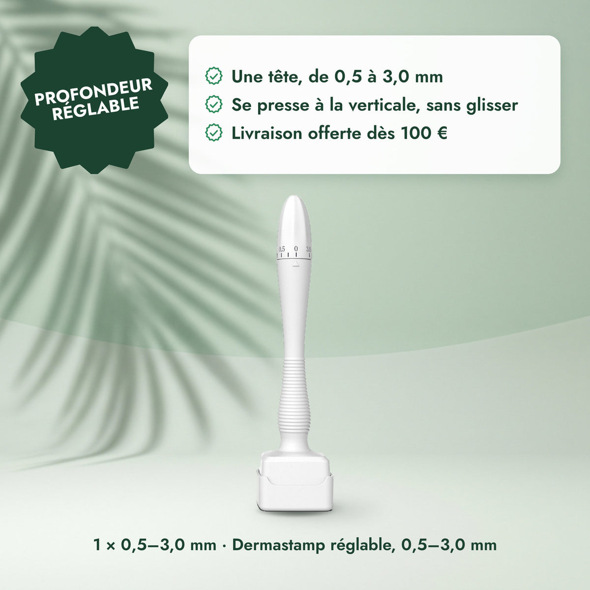 1 × 0,5–3,0 mm · Dermastamp réglable, 0,5–3,0 mm: Profondeur réglable