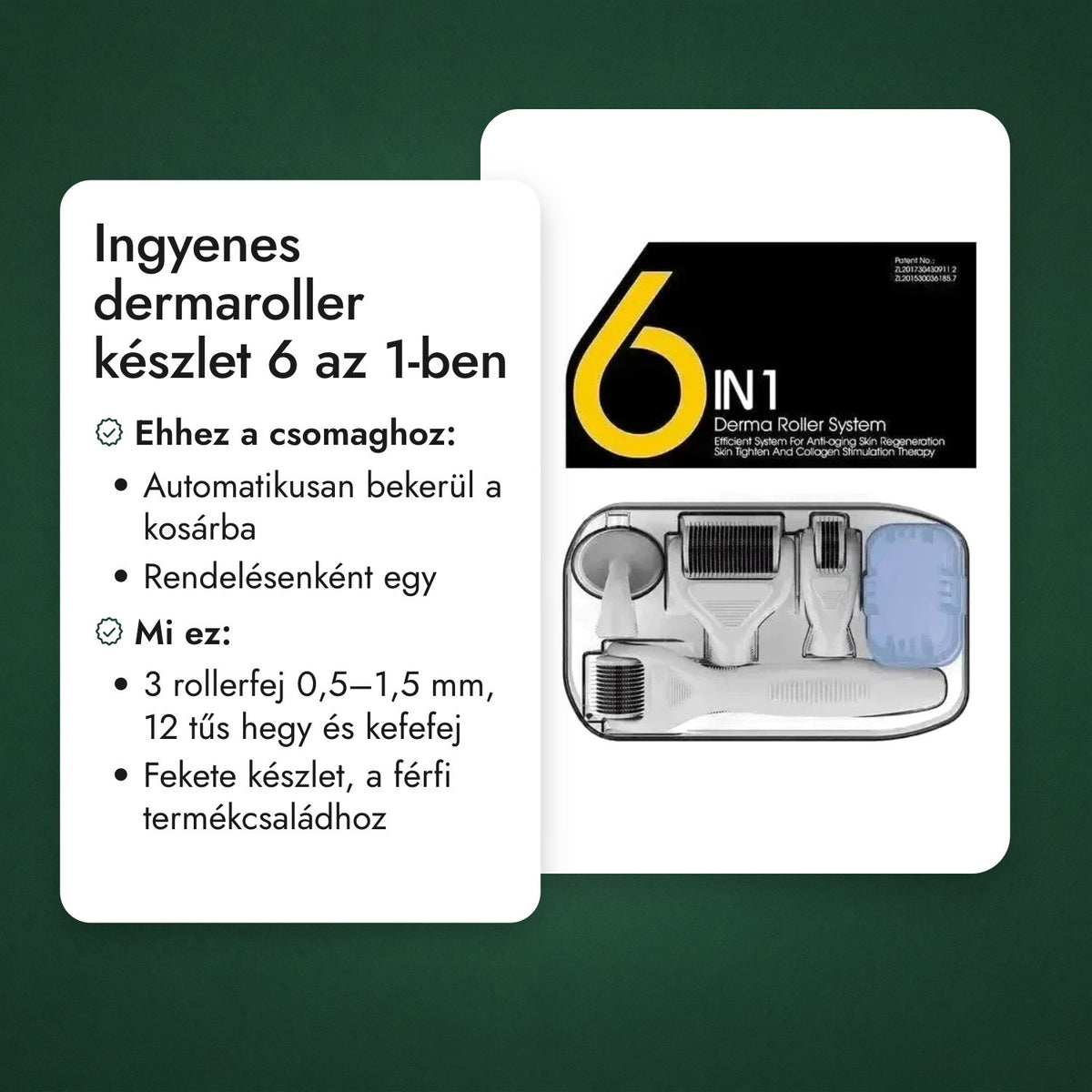 Ingyenes dermaroller készlet 6 az 1-ben