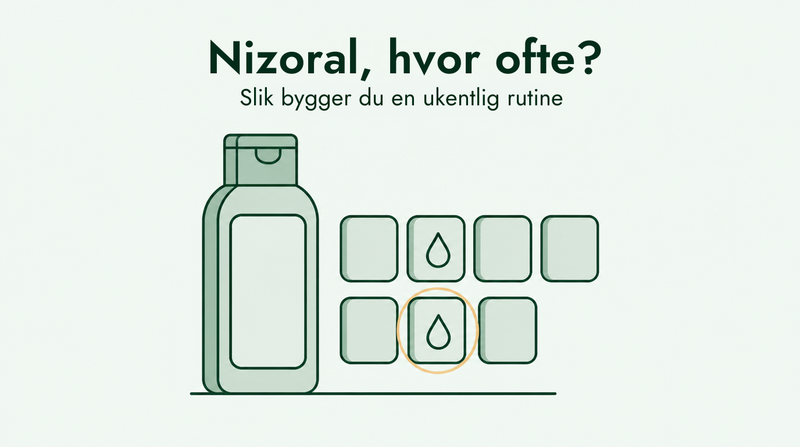 Hvor ofte du bør bruke Nizoral sjampo