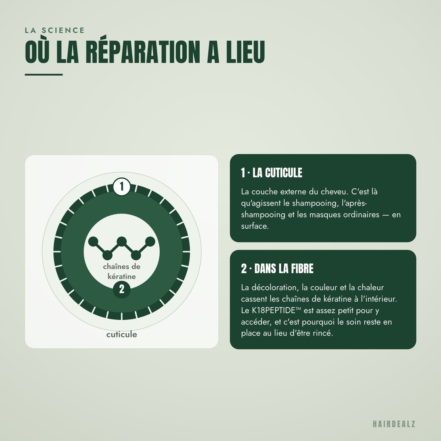 Où le peptide K18 répare la fibre capillaire