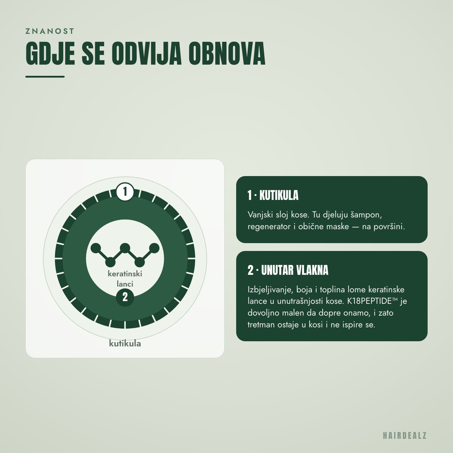 Gdje K18 peptid popravlja vlakno kose