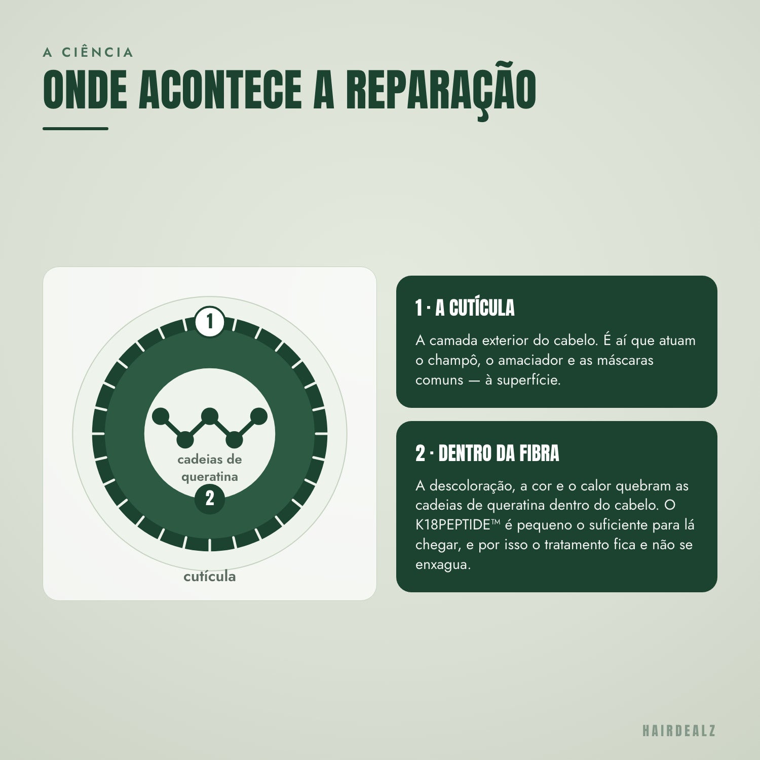 Onde o péptido K18 repara a fibra capilar