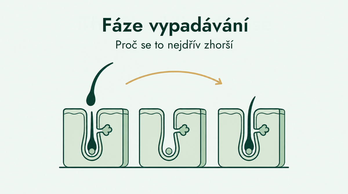 Fáze vypadávání vlasů u minoxidilu vysvětlená