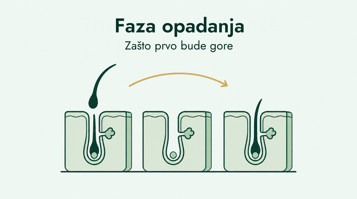 Faza opadanja kose kod minoksidila, objašnjeno