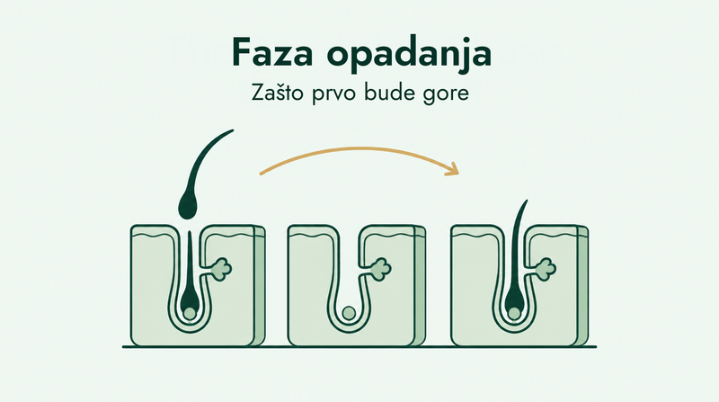 Faza opadanja kose kod minoksidila, objašnjeno
