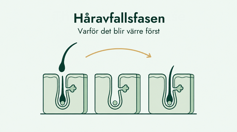 Fällningsfasen vid minoxidil, förklarad