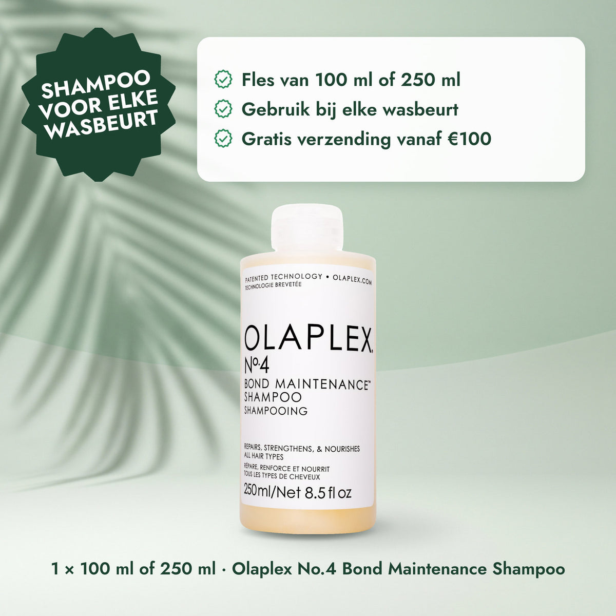 1 × 100 ml of 250 ml · Olaplex No.4 Bond Maintenance Shampoo: Shampoo voor elke wasbeurt