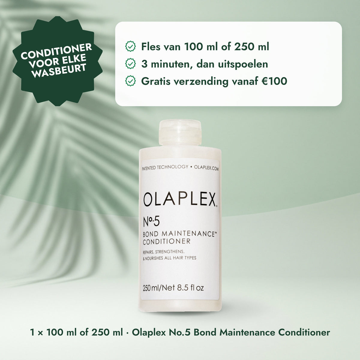 1 × 100 ml of 250 ml · Olaplex No.5 Bond Maintenance Conditioner: Conditioner voor elke wasbeurt